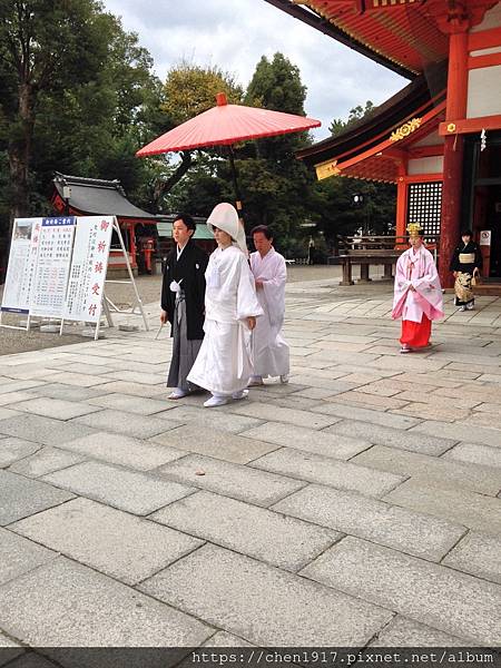 IMG_5438.JPG IMG_5438.JPG