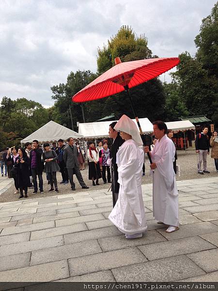 IMG_5447.JPG IMG_5447.JPG