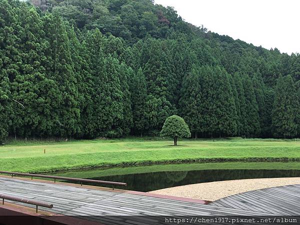 IMG_8020.JPG IMG_8020.JPG