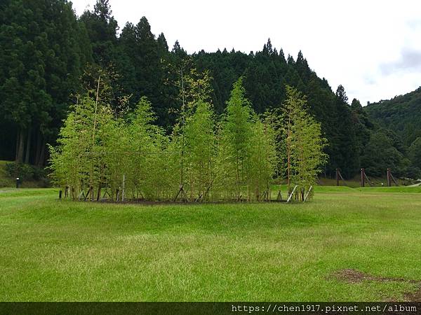 IMG_E8004.JPG IMG_E8004.JPG