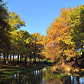羅東公園.png