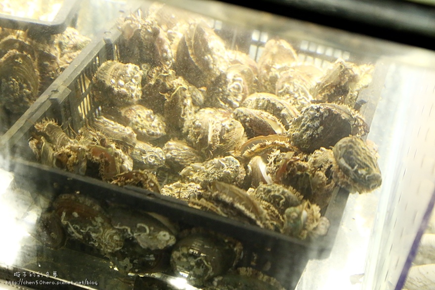 057.JPG 057.JPG