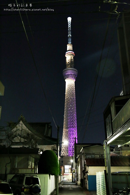 039.JPG 039.JPG