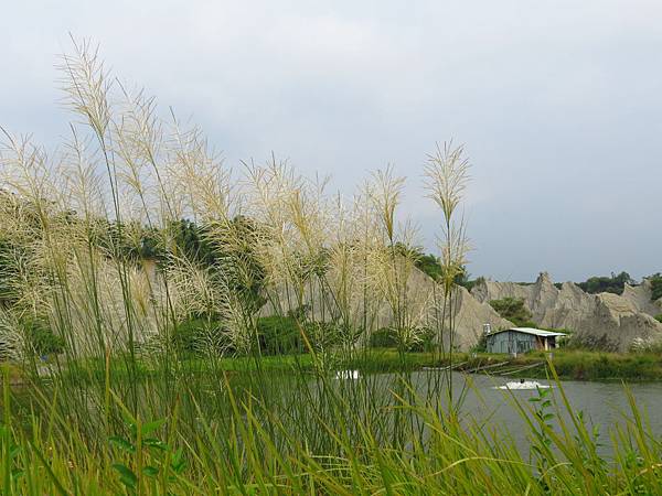 IMG_5958 IMG_5958