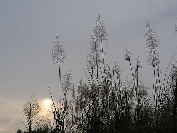 IMG_5998 IMG_5998