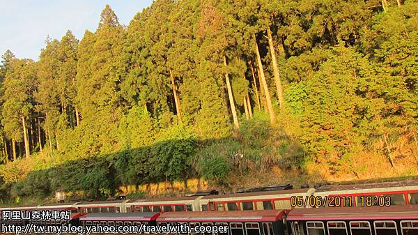 阿里山車站11