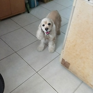 2018-06-01-03.JPG 2018-06-01-03.JPG