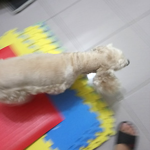 2018-06-01-06.JPG 2018-06-01-06.JPG