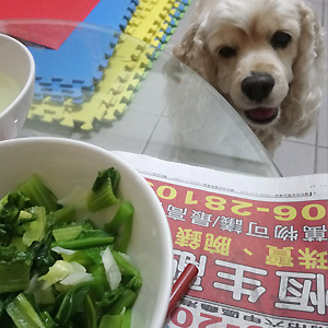 2018-06-01-07.JPG 2018-06-01-07.JPG