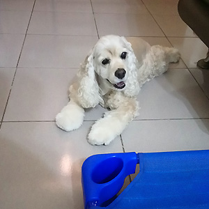 2018-06-01-08.JPG 2018-06-01-08.JPG