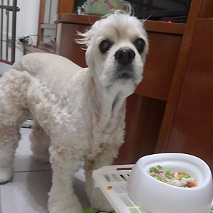 2018-06-01-04.JPG 2018-06-01-04.JPG