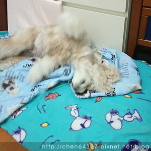 2018-06-02-03.JPG 2018-06-02-03.JPG