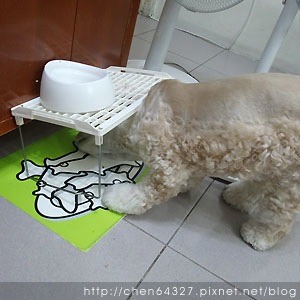 2018-06-02-04.JPG 2018-06-02-04.JPG