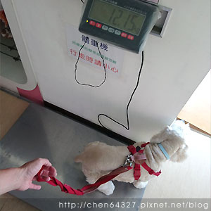 2018-06-02-07.JPG 2018-06-02-07.JPG