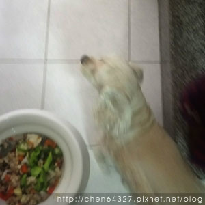 2018-06-02-011.JPG 2018-06-02-011.JPG