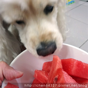 2018-06-04-010.JPG 2018-06-04-010.JPG