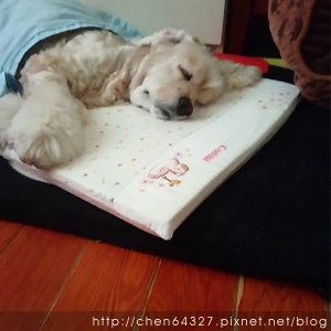 2018-06-05-02.JPG 2018-06-05-02.JPG