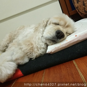 2018-06-04-014.JPG 2018-06-04-014.JPG