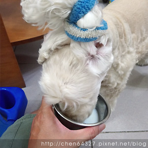 2018-06-05-05.JPG 2018-06-05-05.JPG