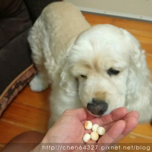 2018-06-05-08.JPG 2018-06-05-08.JPG