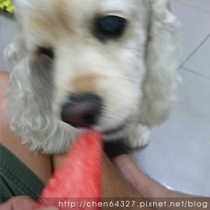 2018-06-05-06.JPG 2018-06-05-06.JPG