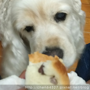 2018-06-05-012.JPG 2018-06-05-012.JPG