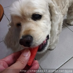 2018-06-06-08.JPG 2018-06-06-08.JPG