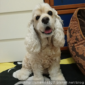 2018-06-06-015.JPG 2018-06-06-015.JPG