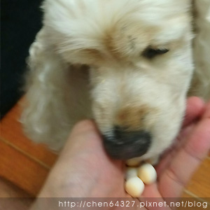 2018-06-06-012.JPG 2018-06-06-012.JPG