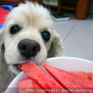 2018-06-06-011.JPG 2018-06-06-011.JPG