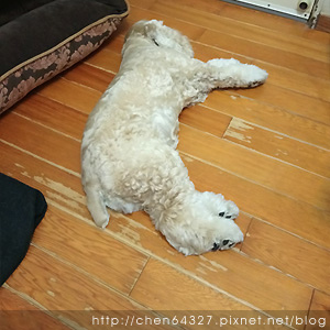 2018-06-07-013.JPG 2018-06-07-013.JPG