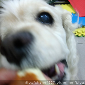 2018-06-07-011.JPG 2018-06-07-011.JPG