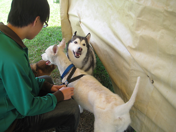 20100328一百號牧場 071.jpg