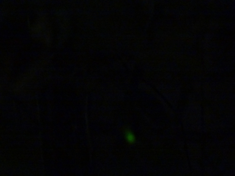 DSC01624-1 DSC01624-1