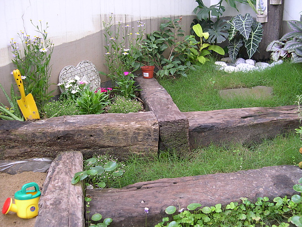 DSCN2914.JPG DSCN2914.JPG
