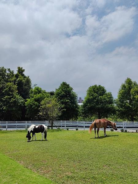 LINE_ALBUM_202379牛仔莊園_金包里_230711_61.jpg