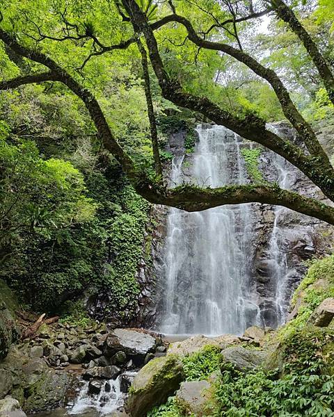 【旅記】新北三峽景點推薦『滿月圓森林遊樂區』適合親子踏青，一