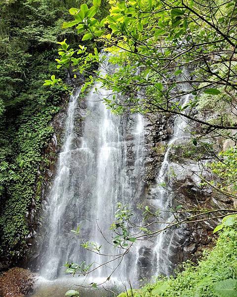 【旅記】新北三峽景點推薦『滿月圓森林遊樂區』適合親子踏青，一