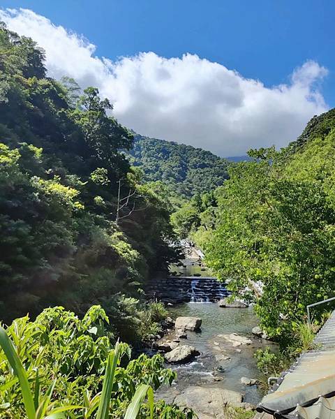 【旅記】新北三峽景點推薦『滿月圓森林遊樂區』適合親子踏青，一