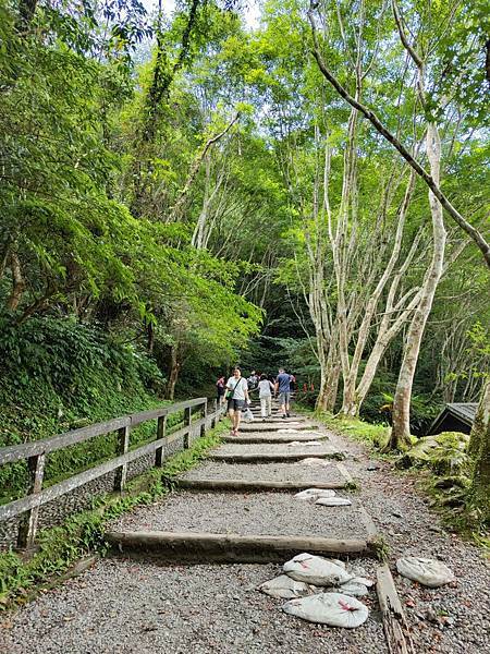 【旅記】新北三峽景點推薦『滿月圓森林遊樂區』適合親子踏青，一