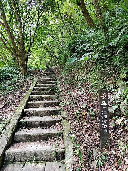 【旅記】新北三峽景點推薦『滿月圓森林遊樂區』適合親子踏青，一