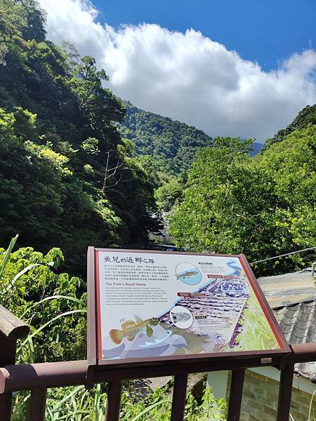 【旅記】新北三峽景點推薦『滿月圓森林遊樂區』適合親子踏青，一