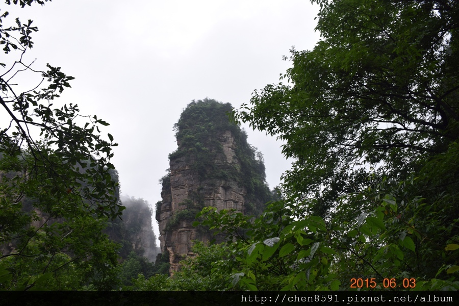 張家界國家森林公園~湘桂之旅