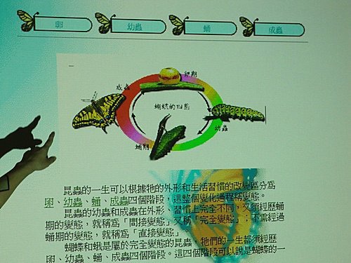 動物的分類 一 無脊椎動物 孩子們的七個習慣夏令營 痞客邦