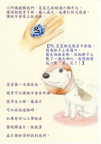 do11.jpg