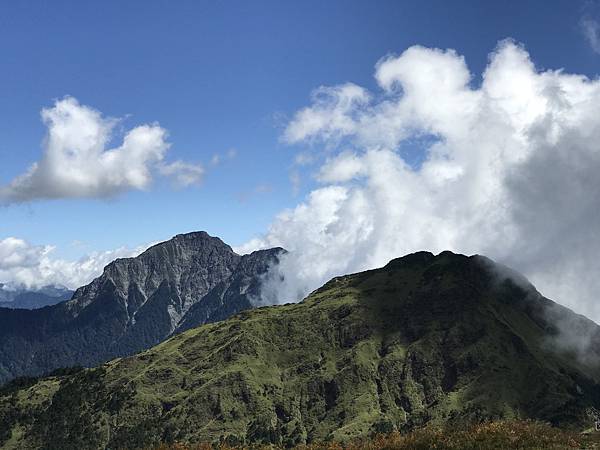 IMG_3207.JPG IMG_3207.JPG