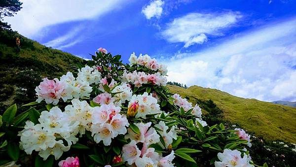 32170046_10156432002650956_1740884359717584896_n.jpg 32170046_10156432002650956_1740884359717584896_n.jpg