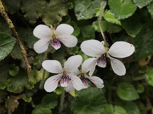 IMG_1540.JPG IMG_1540.JPG