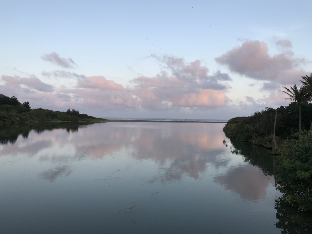 IMG_1937.JPG IMG_1937.JPG