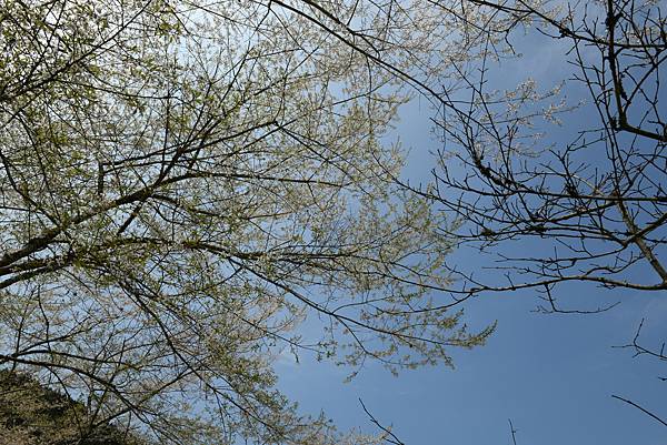 DSC_0701.JPG DSC_0701.JPG